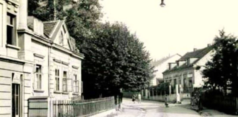 Ulica Nad lipom 1956. godine